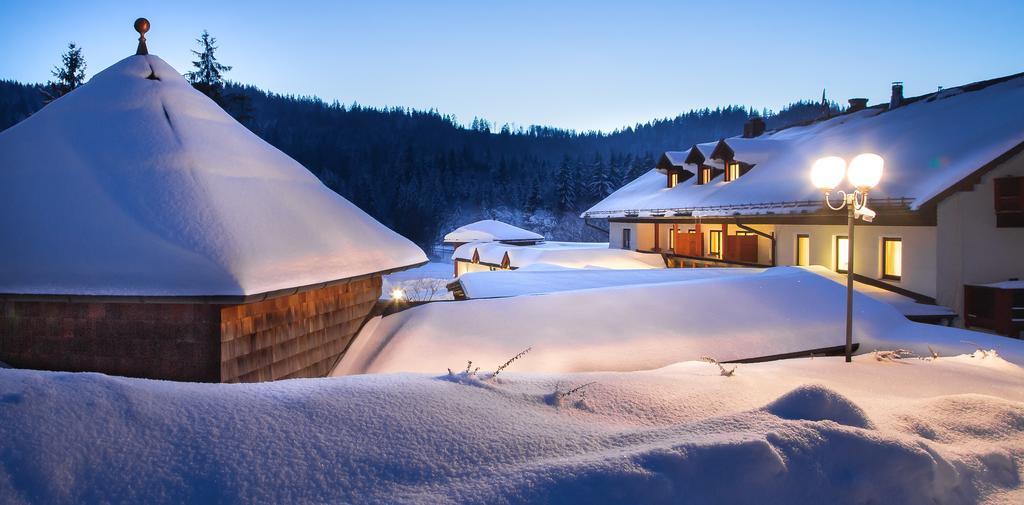 Wellness- Und Vitalhotel Boehmhof Bodenmais Exteriér fotografie